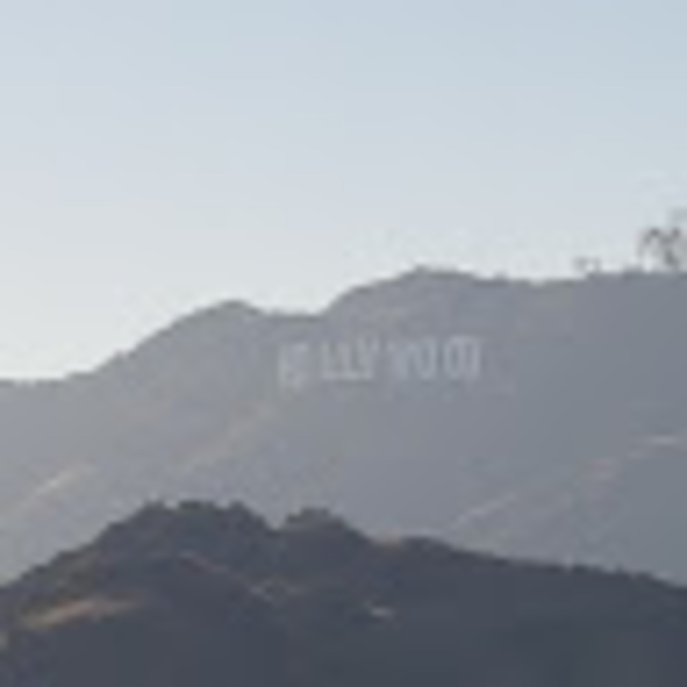 Meet your Posher, Delores